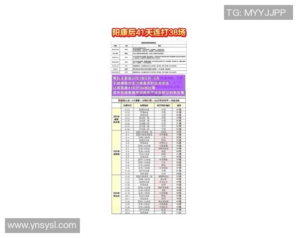 如何科学计算体育明星的排名次数与影响力分析