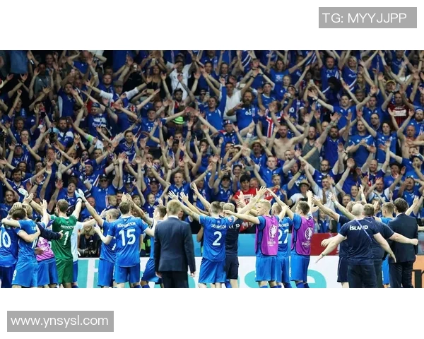 冰岛足球明星阵容揭秘他们在国际赛场上的辉煌表现与成就 冰岛足球明星阵容揭秘他们在国际赛场上的辉煌表现与成就