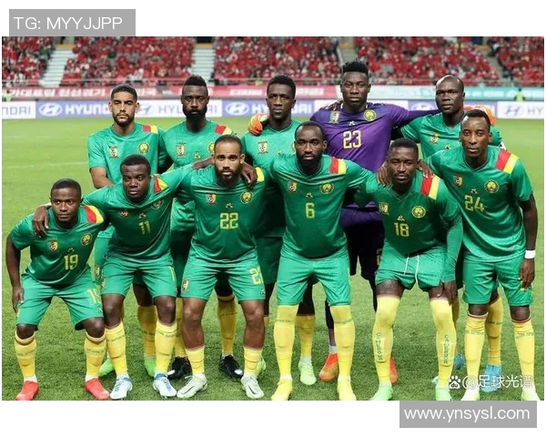 喀麦隆足球传奇人物盘点及其辉煌成就回顾