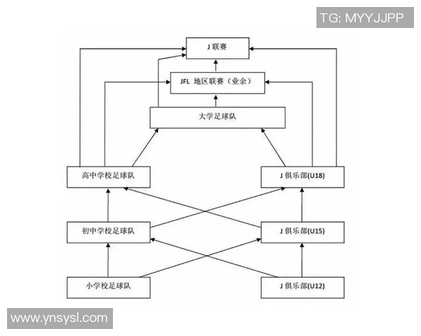 日本足球明星的专注与成就盘点及其对足球发展的影响分析