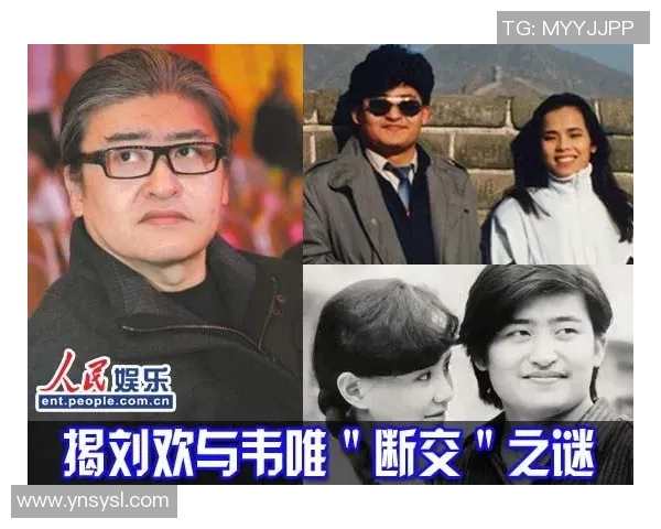 老实足球明星为何频频遭遇针对与质疑背后的真相与故事