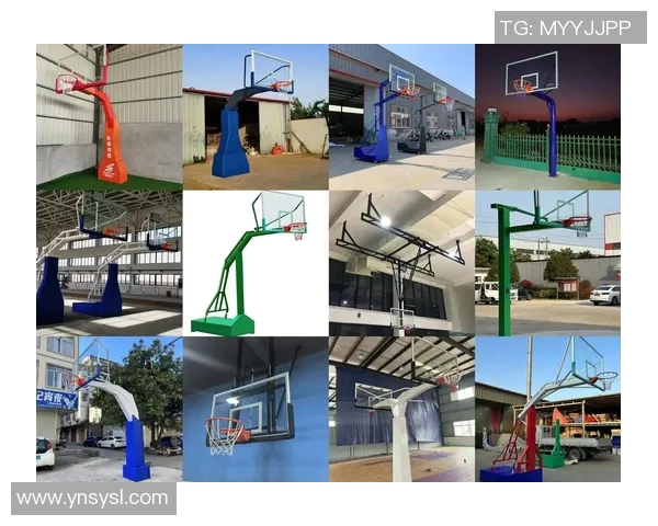 全面解析室外健身器材大全名称及其功能特点助你选择最适合的健身设备