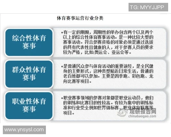 儿童体育运动的多样性探索与推荐活动详解