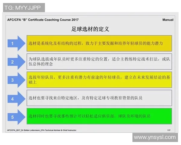 各国足球风格的独特魅力与战术演变探讨