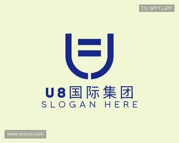 关于U8国际集团