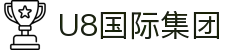 U8.COM(国际)有限公司官网
