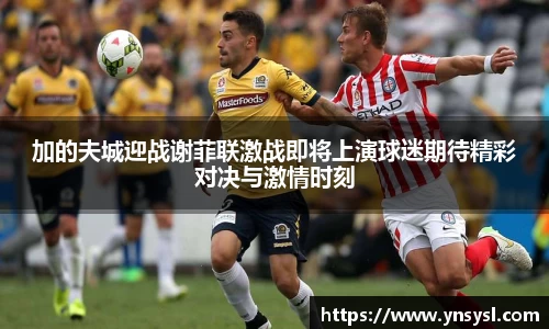 加的夫城迎战谢菲联激战即将上演球迷期待精彩对决与激情时刻